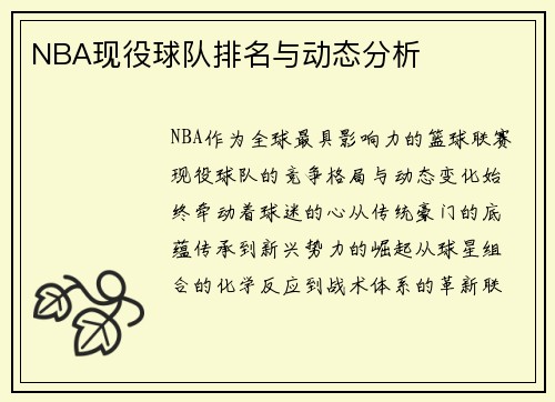 NBA现役球队排名与动态分析